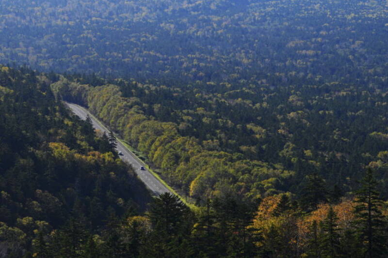 Z8C_5588_01鈴木-啓司郎-2