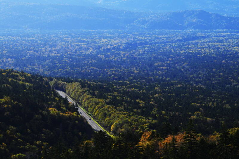 Z8C_5588_01鈴木-啓司郎-3